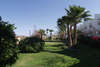 Arabia Beach Resort 